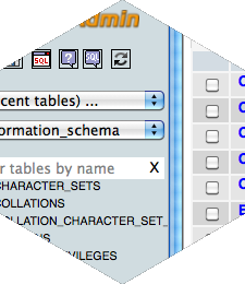 Programming